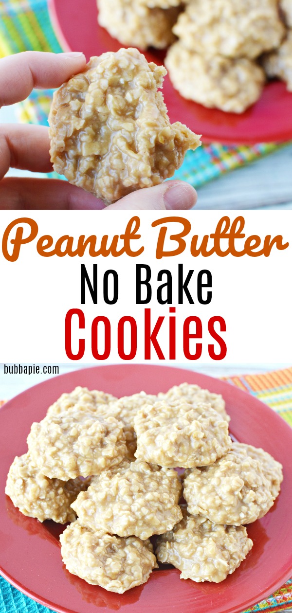 Peanut Butter No Bake Pin