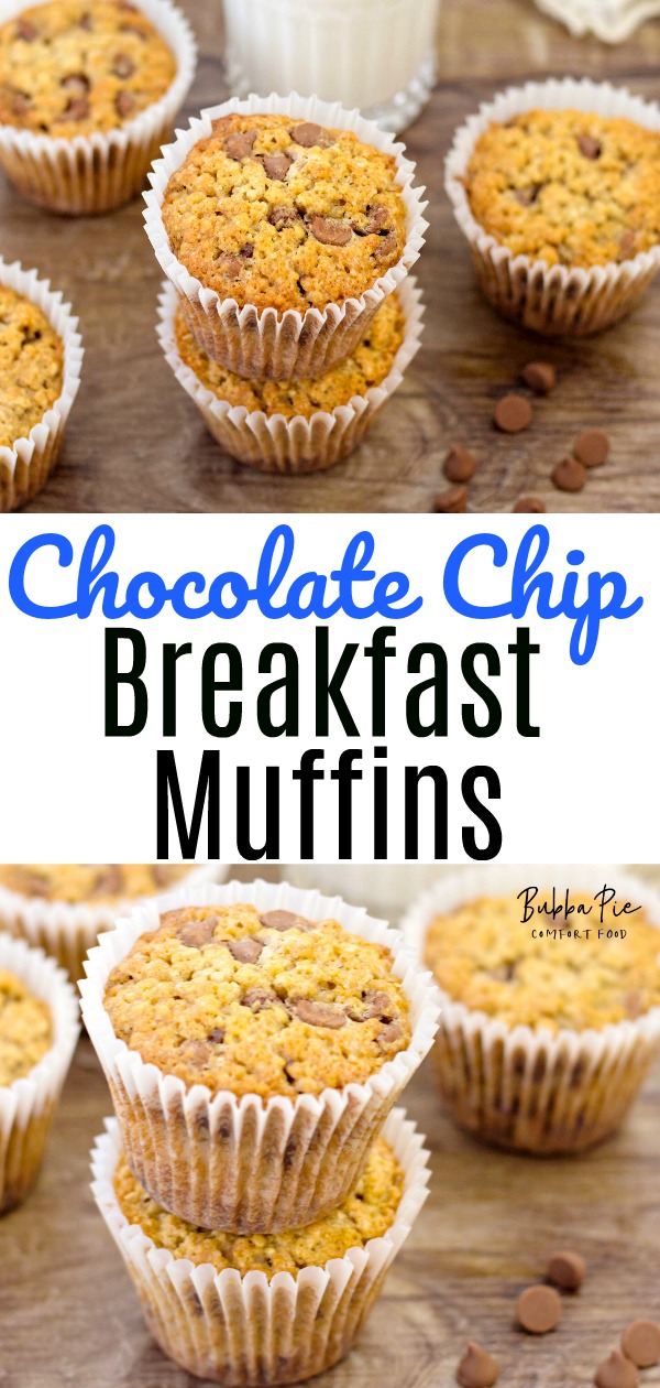 Oatmeal Chocolate Chip Muffins - BubbaPie