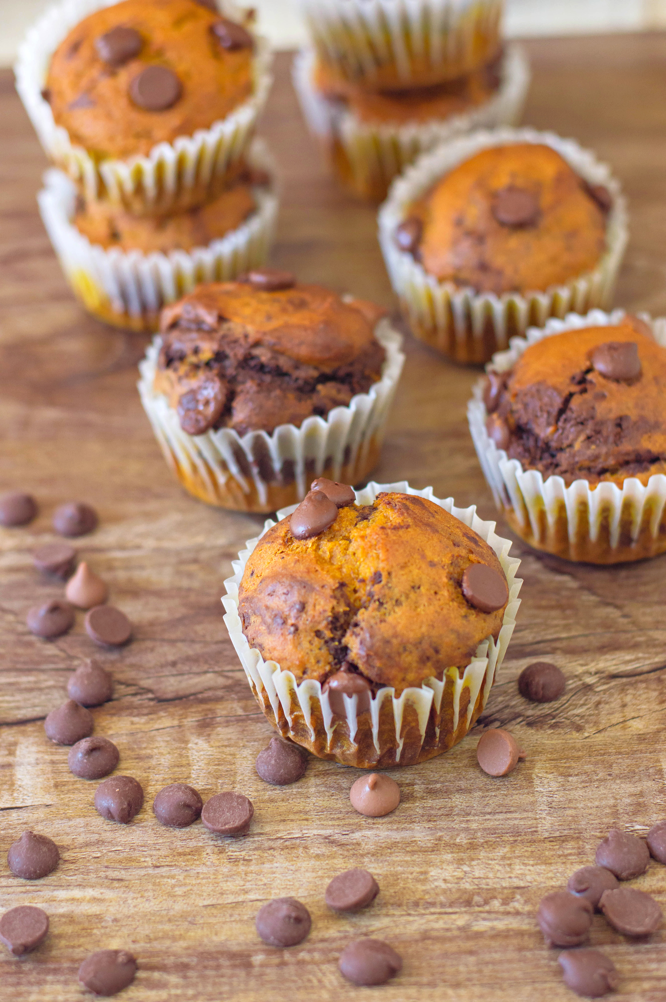 Chocolate Pumpkin Muffins ready to be served on a dessert table for thanksgiving.