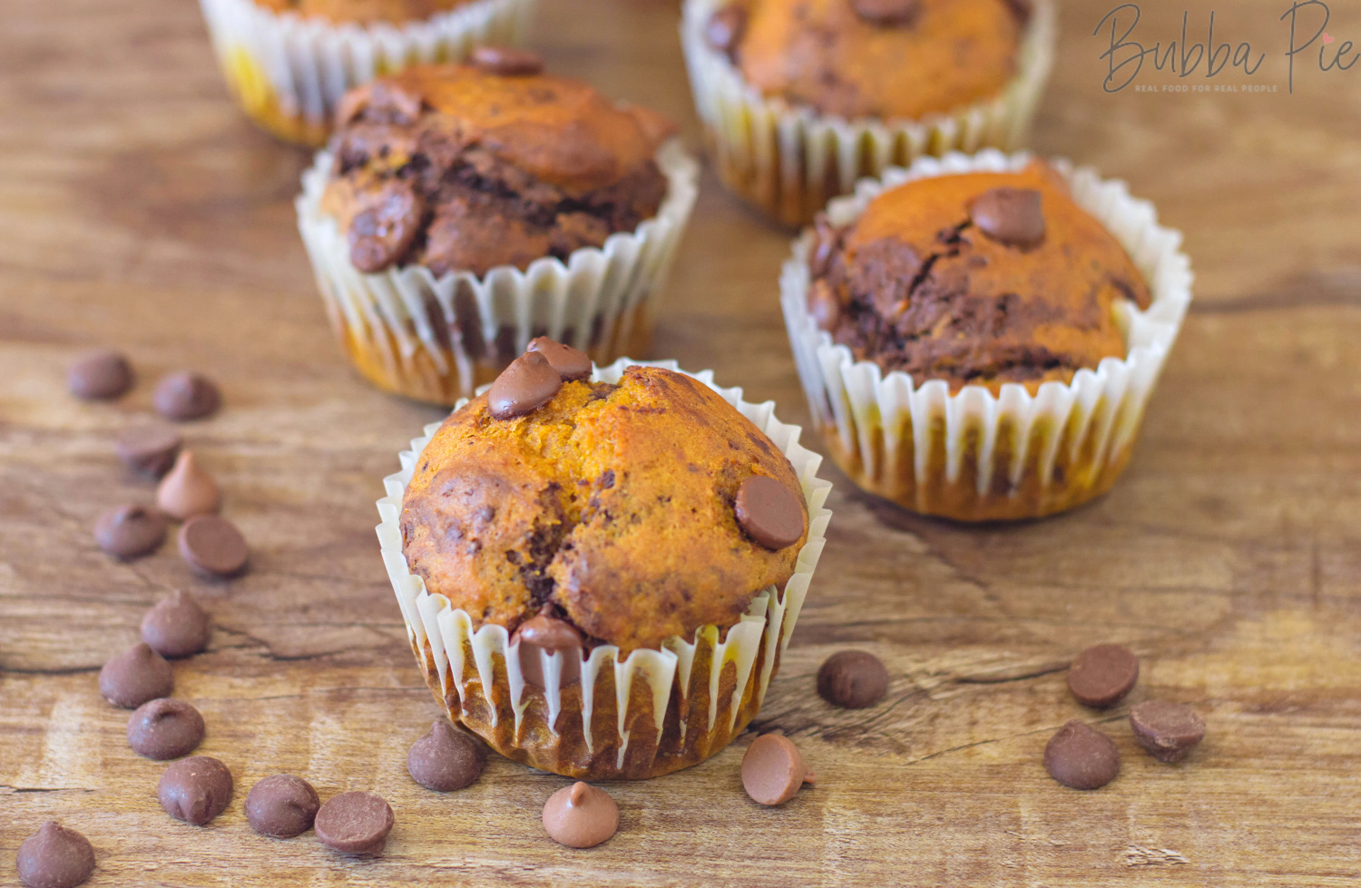 Pumpkin Chocolate Chip Muffins sitting on a plate with chocolate chips make a great thanksgiving dessert.