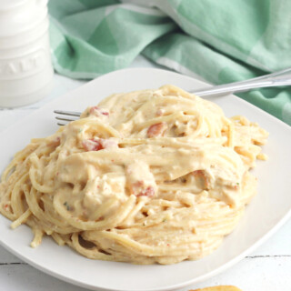 Crockpot Chicken Spaghetti Recipe - BubbaPie