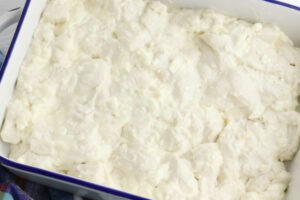 place biscuit dough in baking pan.