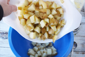 Put diced potatoes in mixing bowl
