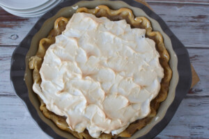 Sour Cream Raisin Pie Recipe