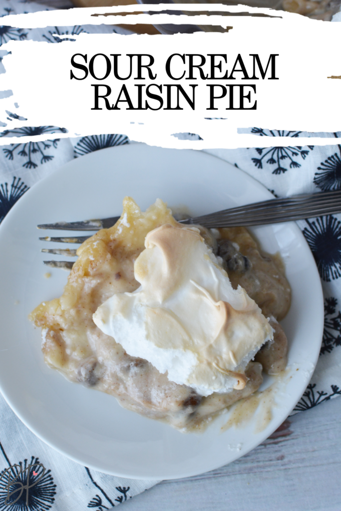 sour cream and raisin pie pin 1