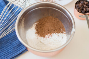 Combine Flour, Cocoa, baking soda and salt