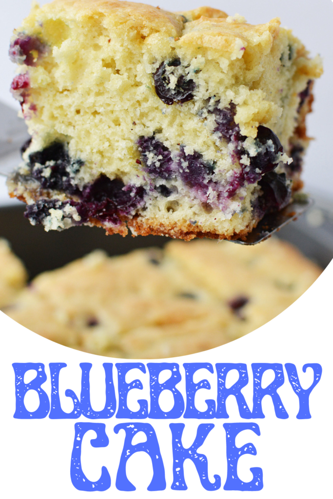 Blueberry Cake Pin