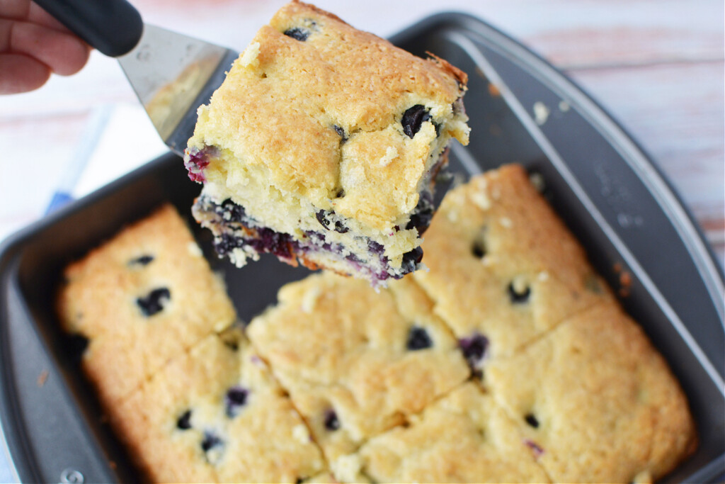 blueberry cake in a cake pan