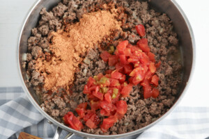 add taco seasoning and tomatoes